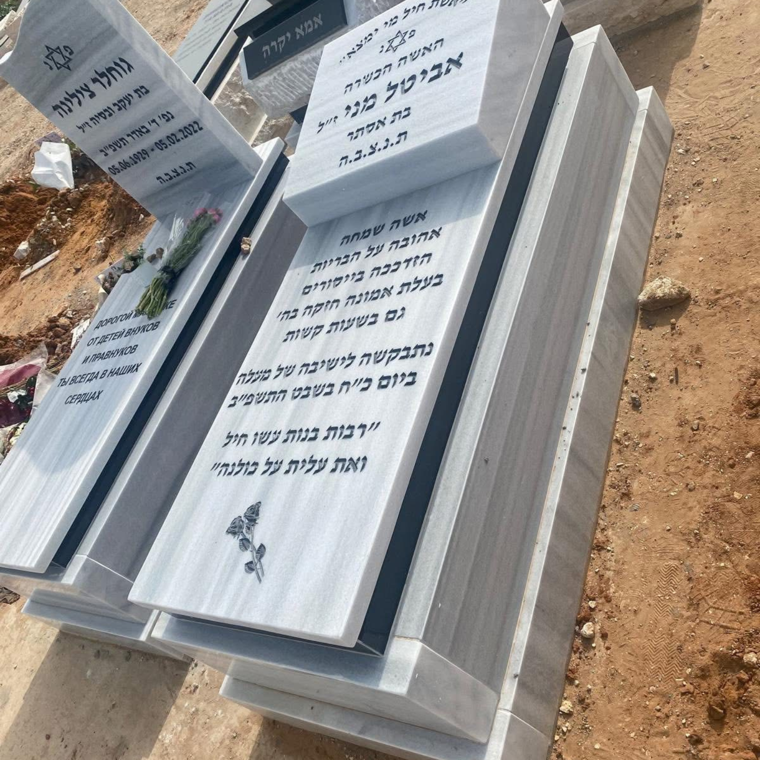תמונה 3