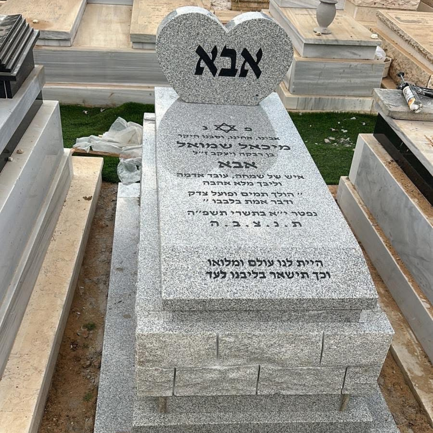 תמונה 8