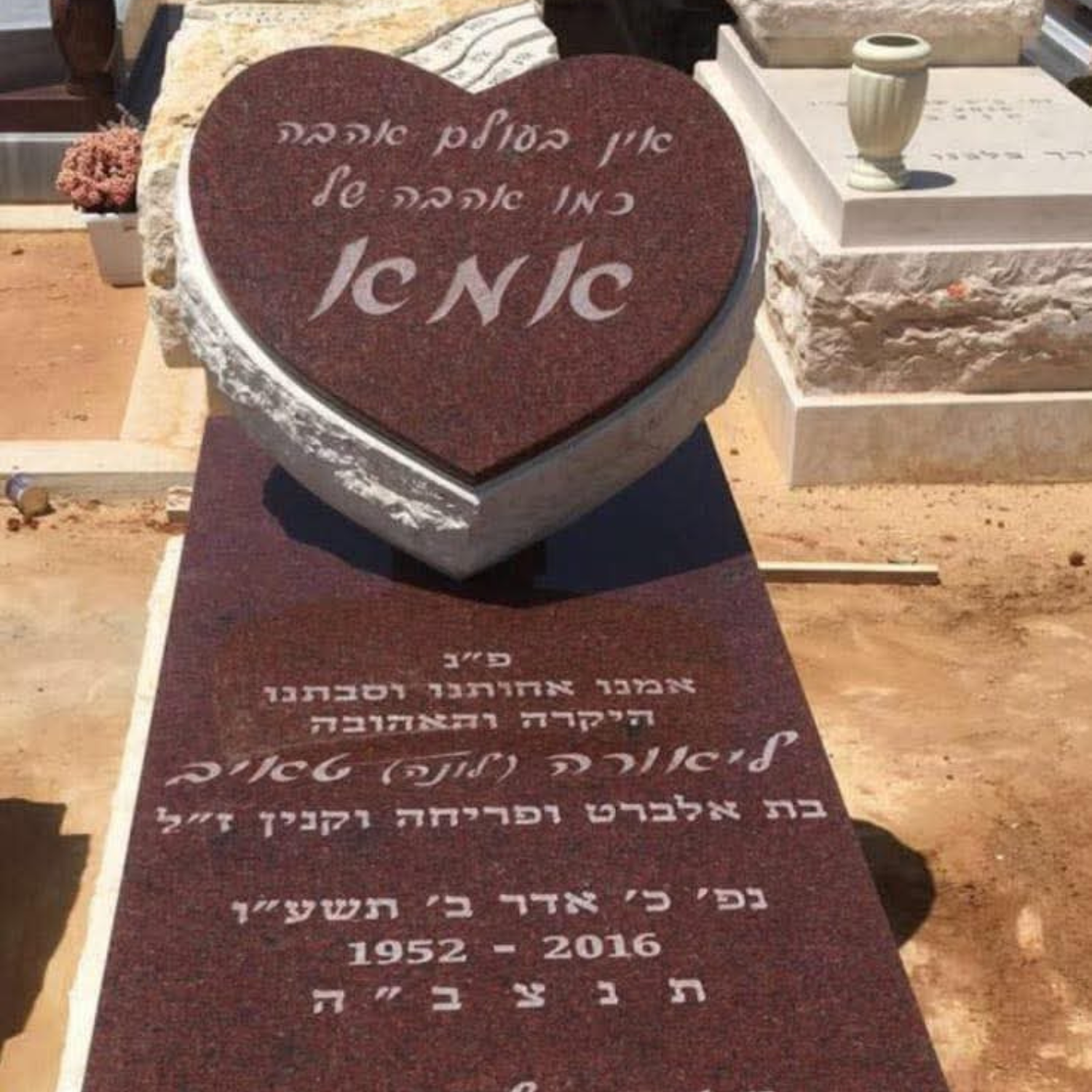 תמונה 10