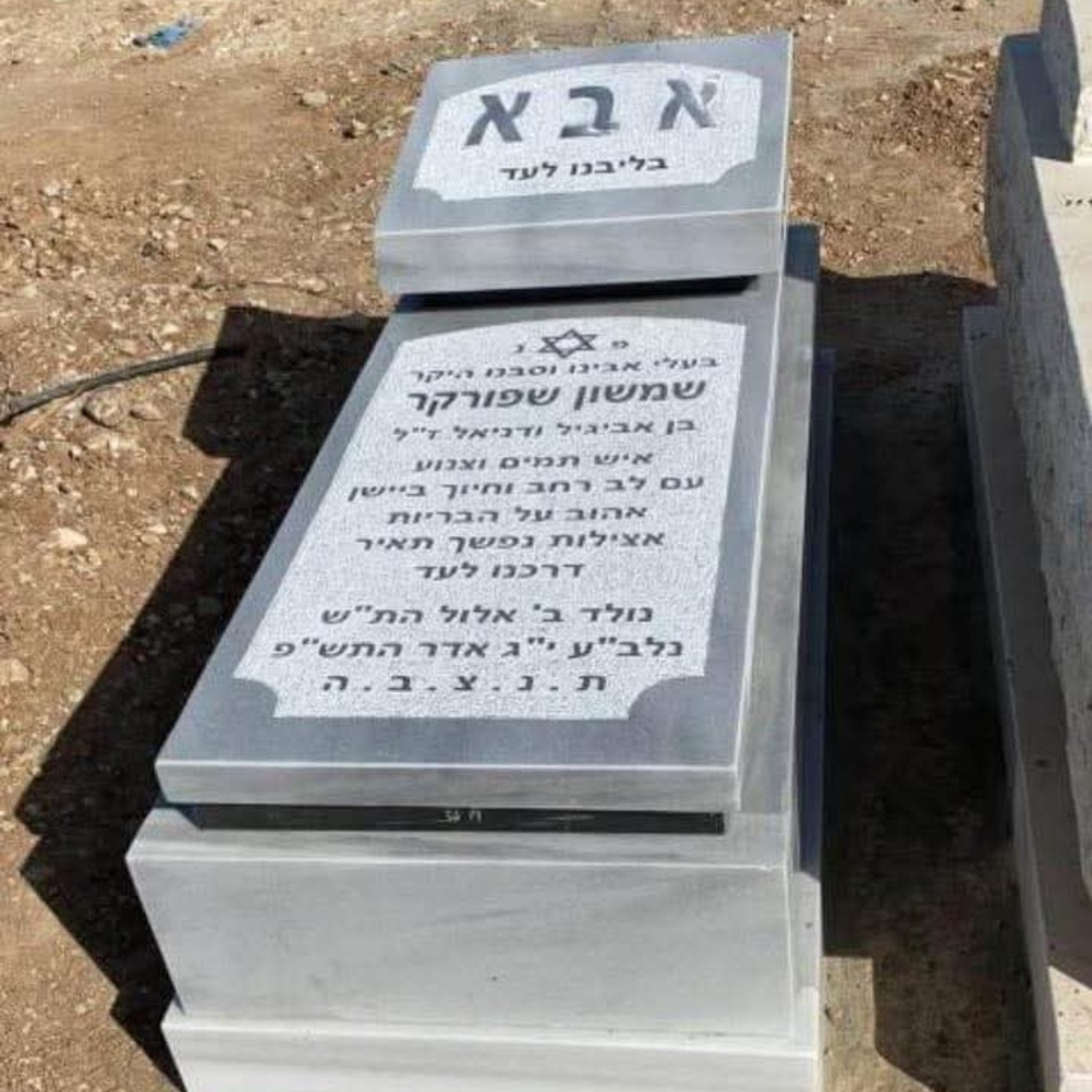 תמונה 11